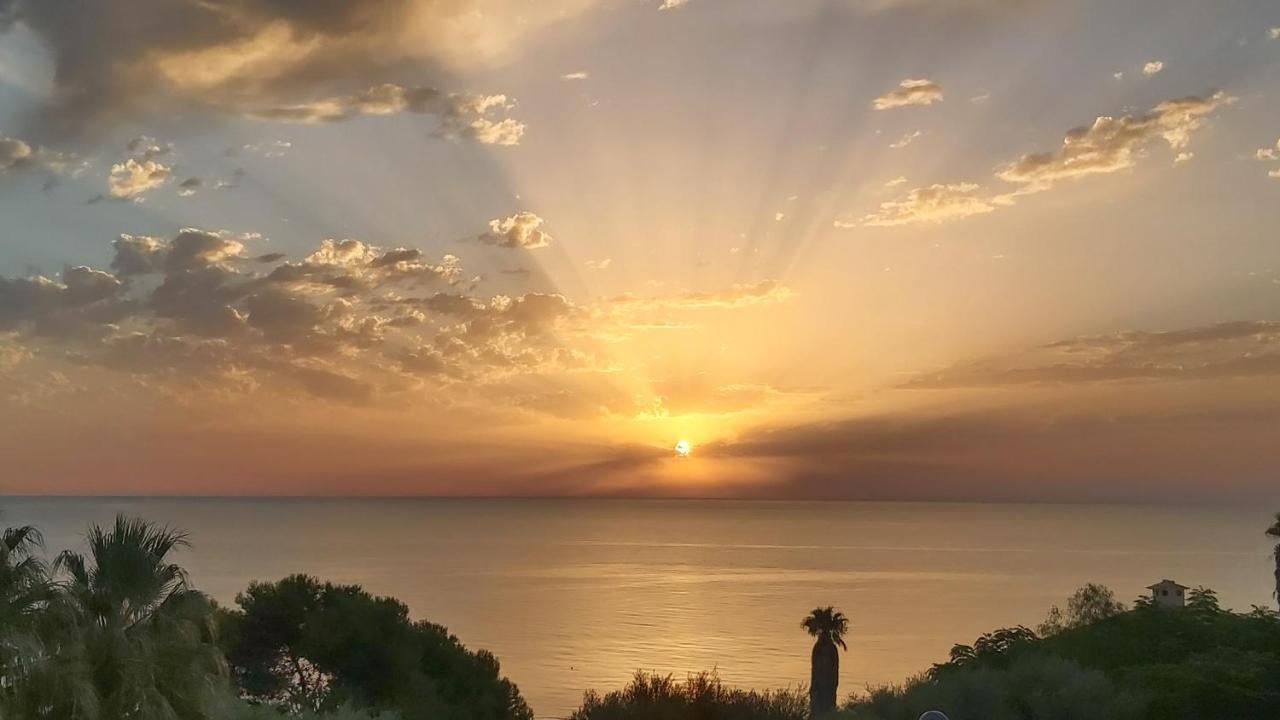 La Suite Del Mar 格兰阿利坎特 外观 照片